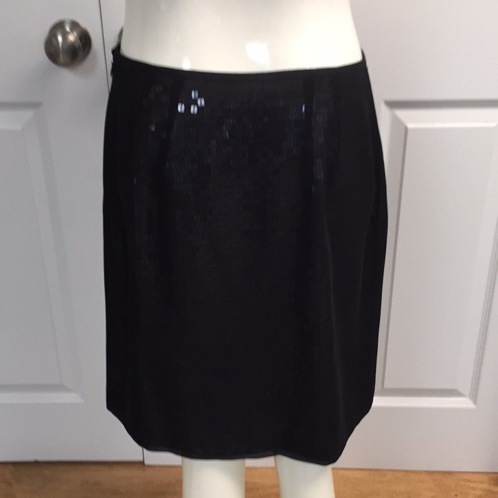 Ann Taylor skirt
